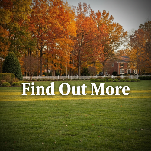 Fall Cleanup