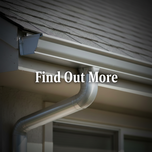 Gutter Cleaning